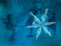 砥礪奮進七十載 天山南北譜華章丨解碼人類滑雪起源地：阿勒泰