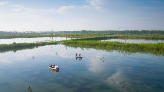 “蟹”逅沱湖——蟹肥景美 等你入畫