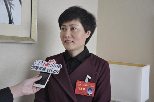Чжан Фань: «Доходы уезда Фэнсянь необходимо повышать посредством развития туризма»