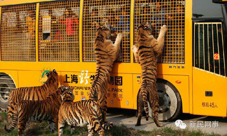Парк диких животных в Шанхае