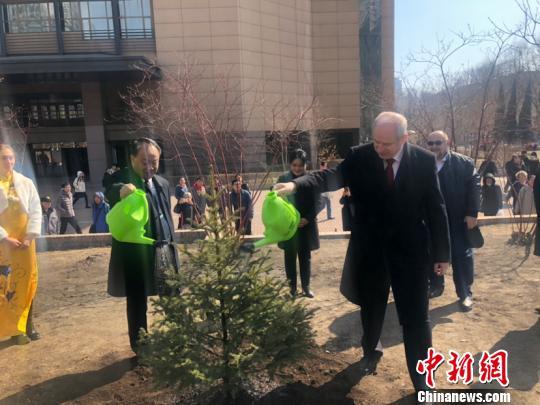 Китайские и российские студенты посадили дерево дружбы