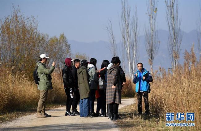 Li Xiaolong, ein Mitarbeiter für Natur-Aufklärung erklärt den Besuchern die Beziehungen zwischen den Rieden und dem Feuchtgebiet.