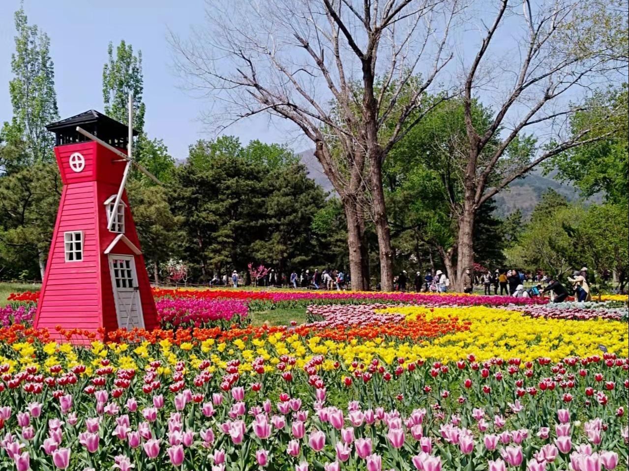 4月19日　火曜日