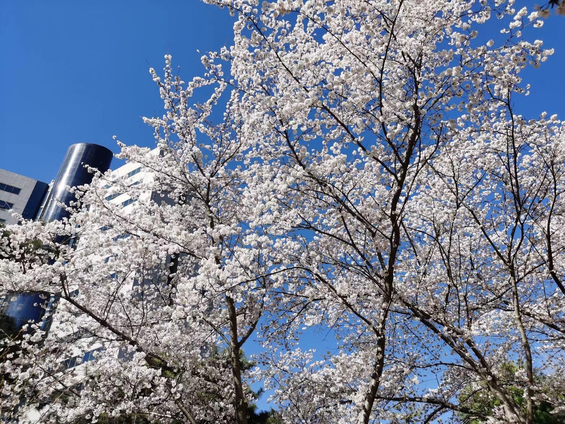 3月28日　火曜日