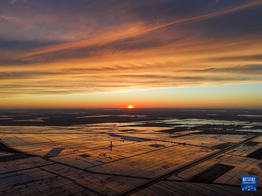 Pemandangan Sawah yang Indah pada Waktu Senja