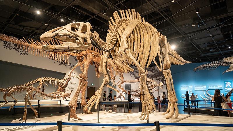 Muzium Alam Chengdu Jadi Pilihan Kanak-kanak Semsasa Cuti Sekolah