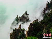 Gunung Huangshan yang Mempesonakan
