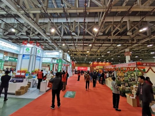兩岸特色年貨組團登鷺 區域公共品牌廈門“競秀” 兩岸特色年貨組團登鷺 區域公共品牌廈門“競秀”