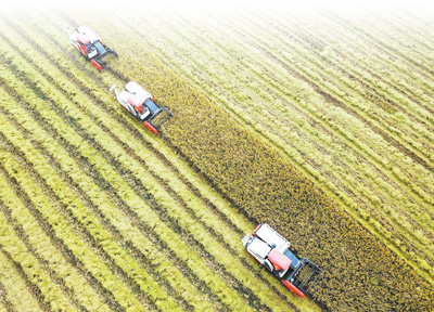 節約糧食,一種生活習慣 節約糧食,一種生活習慣