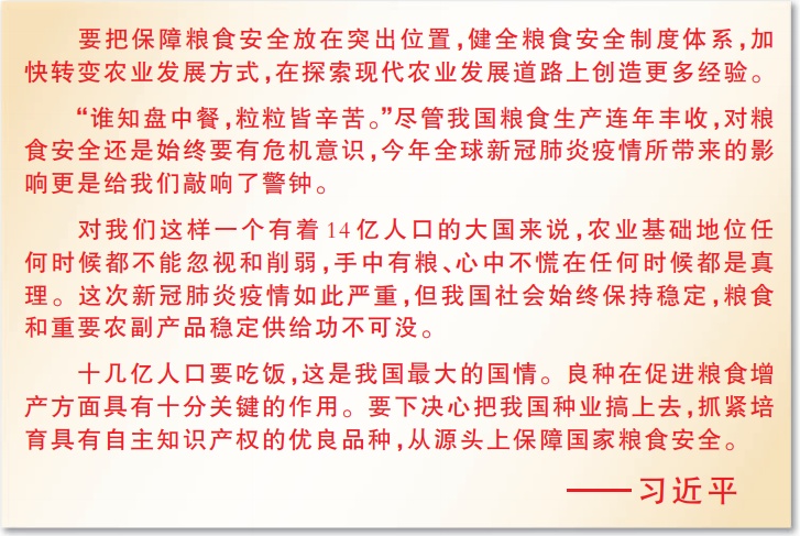 “十三五”,總書記關心的這些事:這五年,糧食安全更穩固 “十三五”,總書記關心的這些事:這五年,糧食安全更穩固