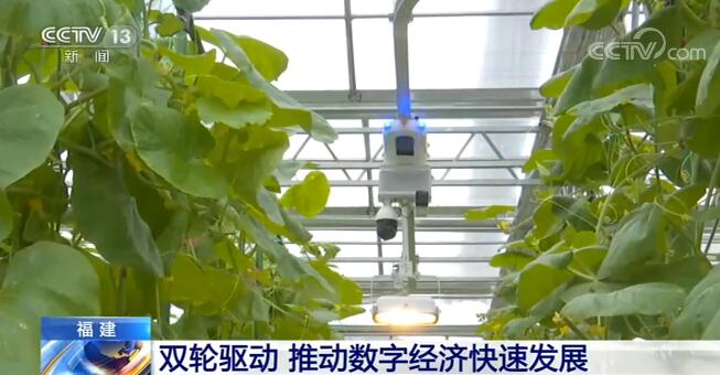 福建在數字産業化和産業數字化兩方面“雙輪驅動” 推動數字經濟快速發展 福建在數字産業化和産業數字化兩方面“雙輪驅動” 推動數字經濟快速發展