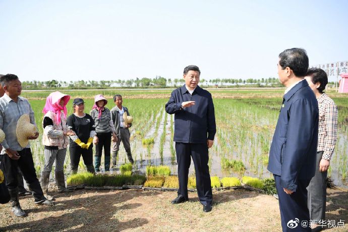 “十三五”,總書記關心的這些事:這五年,糧食安全更穩固 “十三五”,總書記關心的這些事:這五年,糧食安全更穩固