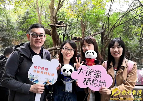 青春online行兩岸進行時 打卡熊貓的家 原來你是這樣的國寶 青春online行兩岸進行時 打卡熊貓的家 原來你是這樣的國寶