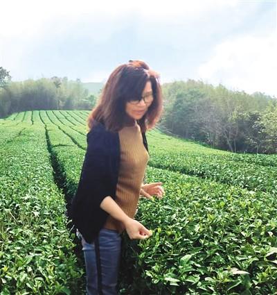 阿里山茶農:很想去大陸看看 阿里山茶農:很想去大陸看看