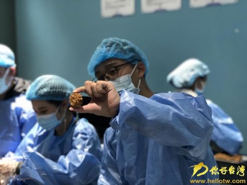 青春online行兩岸進行時 打卡熊貓的家 原來你是這樣的國寶 青春online行兩岸進行時 打卡熊貓的家 原來你是這樣的國寶