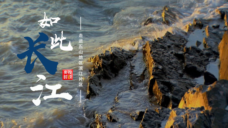 習近平江蘇行丨和諧共生 如此長江——走進五山地區濱江片區 習近平江蘇行丨和諧共生 如此長江——走進五山地區濱江片區