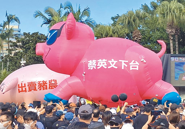 民進黨當局拍板萊豬進口管理措施 在野黨炮轟欺騙大眾