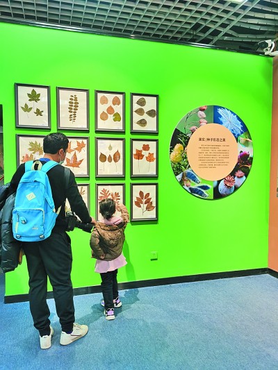 如何領略自然博物館之美