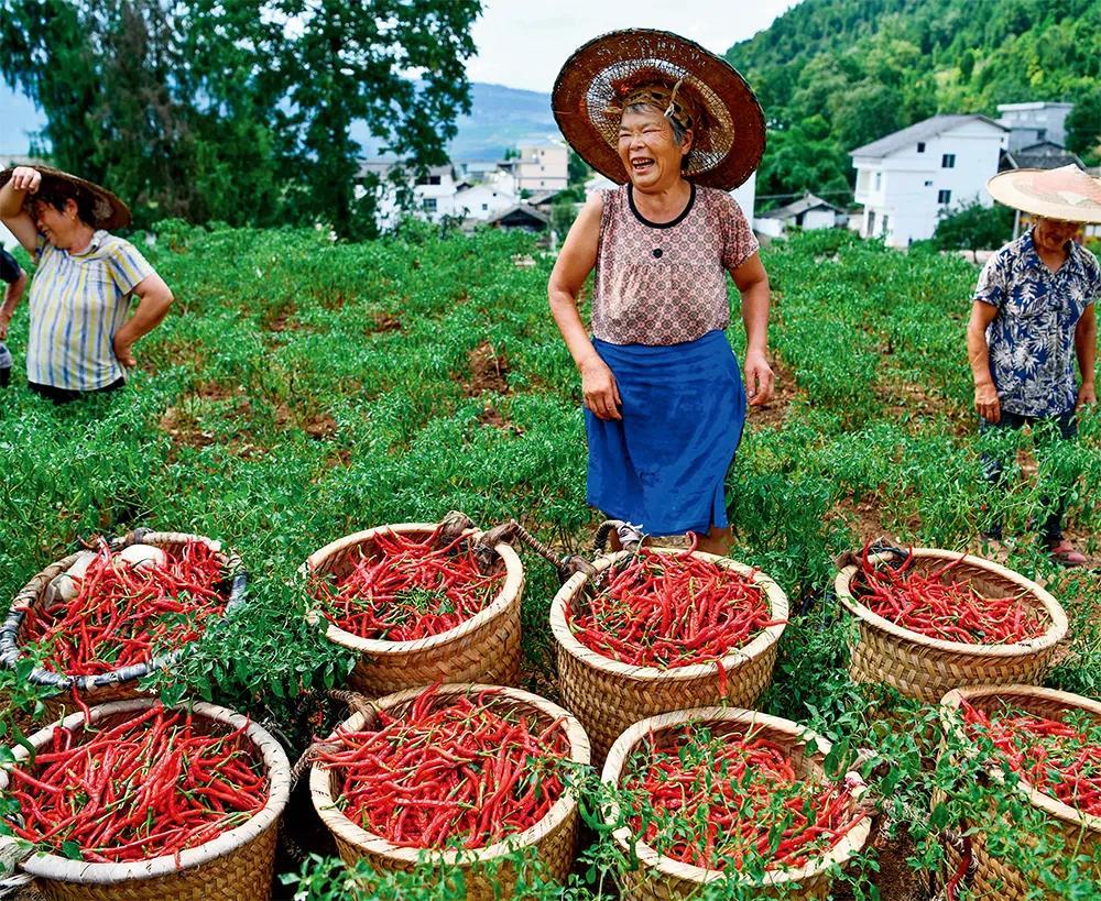 鄉村振興:“三農”工作重心的歷史性轉移 鄉村振興:“三農”工作重心的歷史性轉移