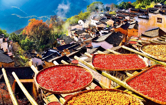 鄉村振興:“三農”工作重心的歷史性轉移 鄉村振興:“三農”工作重心的歷史性轉移