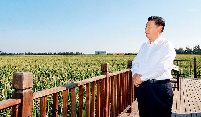 鄉村振興:“三農”工作重心的歷史性轉移 鄉村振興:“三農”工作重心的歷史性轉移