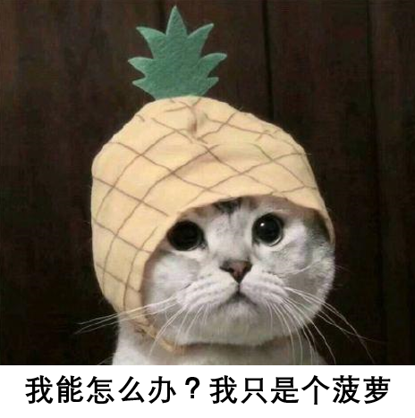 台灣“菠蘿鬧劇”:拿民眾的錢洗民眾的腦! 台灣“菠蘿鬧劇”:拿民眾的錢洗民眾的腦!