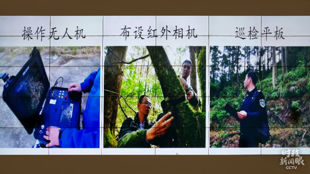 時政新聞眼丨習近平踏訪武夷山,為何關注這些“園中之園” 時政新聞眼丨習近平踏訪武夷山,為何關注這些“園中之園”