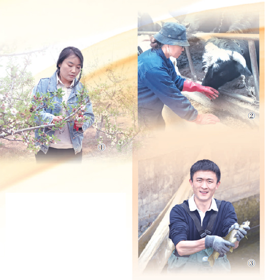 知識進鄉村 技術富鄉親 知識進鄉村 技術富鄉親