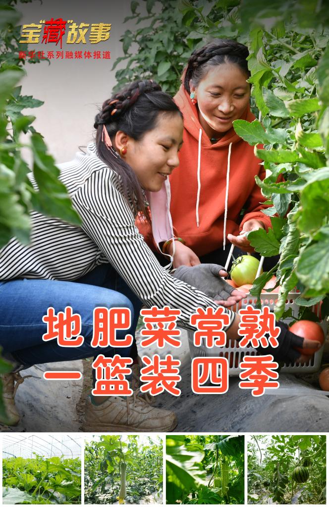 從“一菜難求”到“瓜果飄香”——西藏跨越70年的蔬菜産業翻身記 從“一菜難求”到“瓜果飄香”——西藏跨越70年的蔬菜産業翻身記