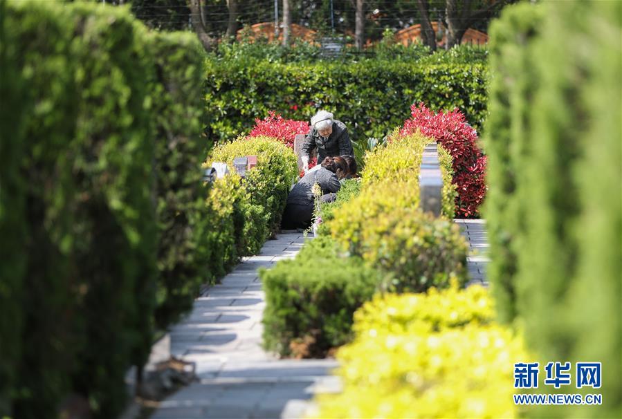錯峰預約、集中代祭、“雲”端祭掃——各地清明節前夕祭掃見聞