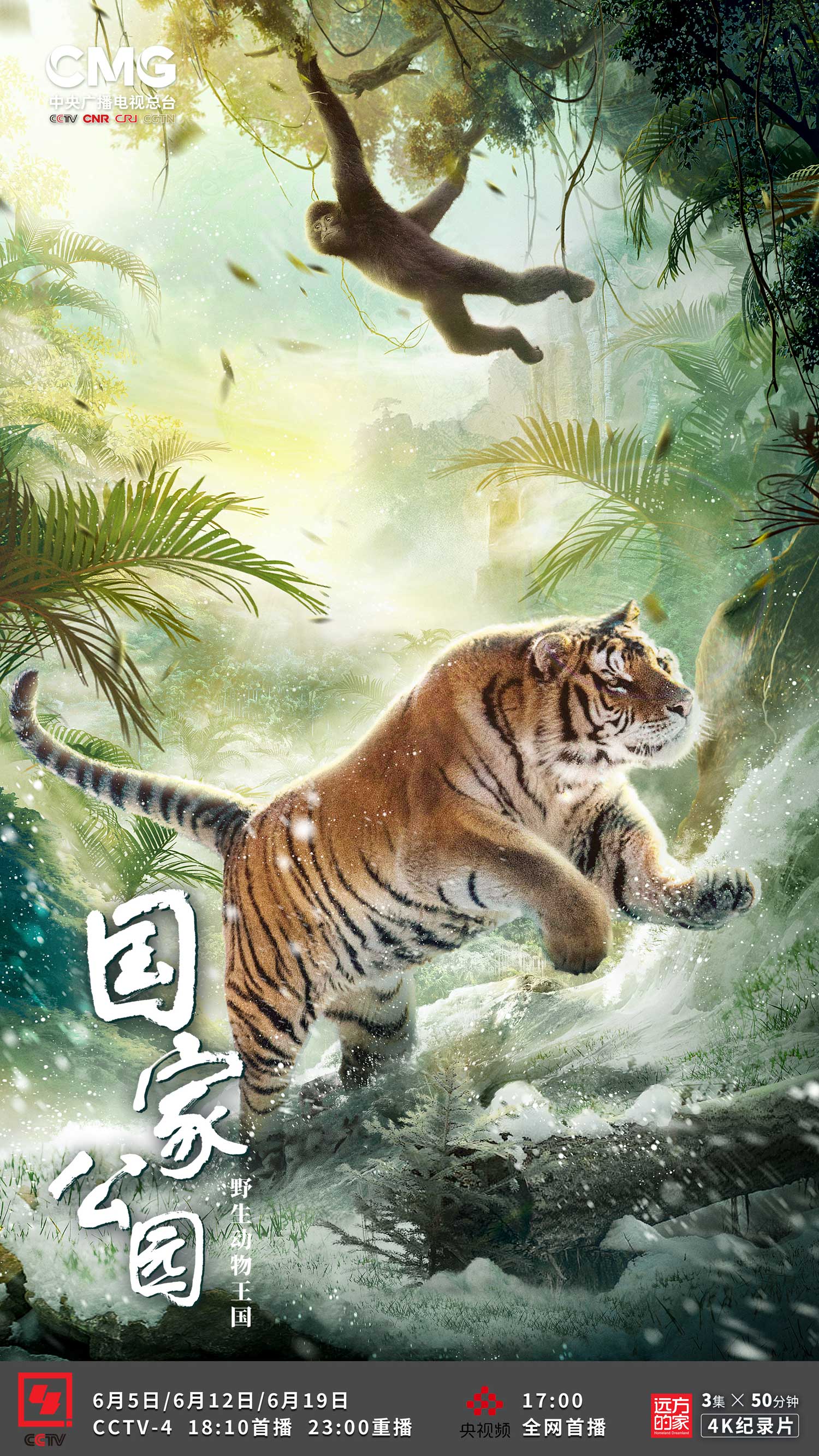 自然界的歡歌！總臺《國家公園：野生動物王國》紀錄片帶你走進《珍貴的家園》