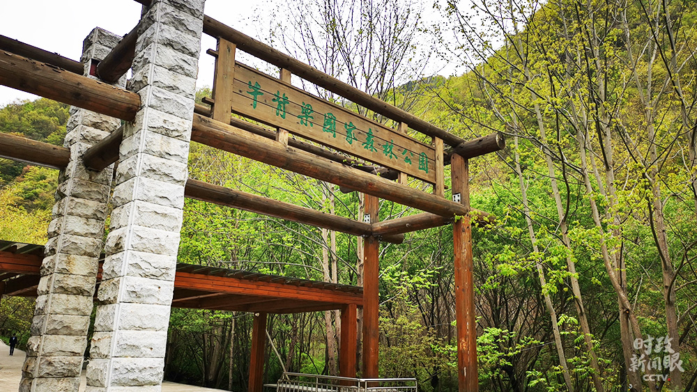 時政新聞眼丨五年後再訪陜西,習近平首站考察秦嶺 時政新聞眼丨五年後再訪陜西,習近平首站考察秦嶺
