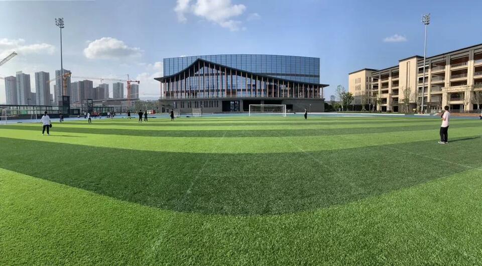 【教育頻道+校長來了】校長來了丨專訪重慶市巴蜀常春藤學校總校長龔青鏵 【教育頻道+校長來了】校長來了丨專訪重慶市巴蜀常春藤學校總校長龔青鏵