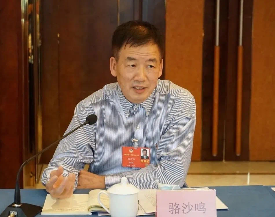 駱沙鳴委員:讓兩岸同胞共同分享中西結合治療新冠肺炎的經驗 駱沙鳴委員:讓兩岸同胞共同分享中西結合治療新冠肺炎的經驗