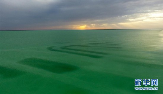 “生命禁區”羅布泊再現“碧波盪漾”