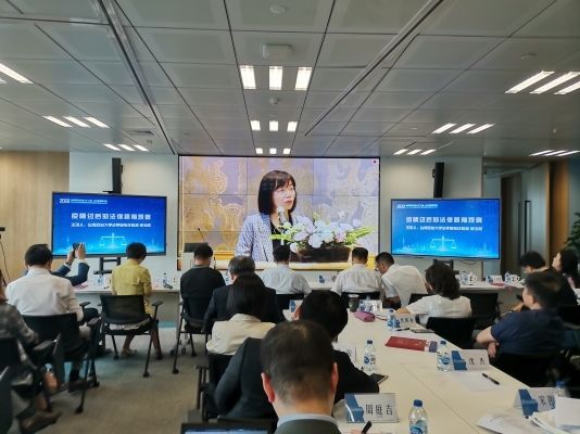 滬臺青年法律人才開啟暑期“雲研討” 滬臺青年法律人才開啟暑期“雲研討”