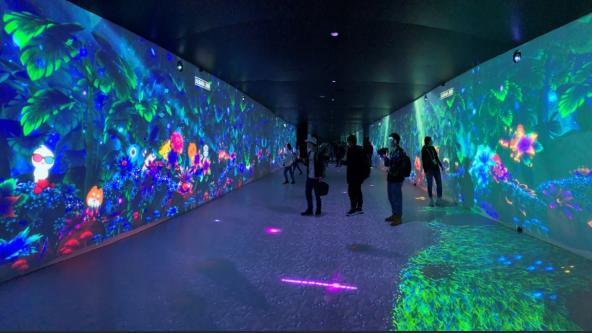 第六屆世界互聯網大會開幕 烏鎮變身最新科技“全方位體驗場” 第六屆世界互聯網大會開幕 烏鎮變身最新科技“全方位體驗場”