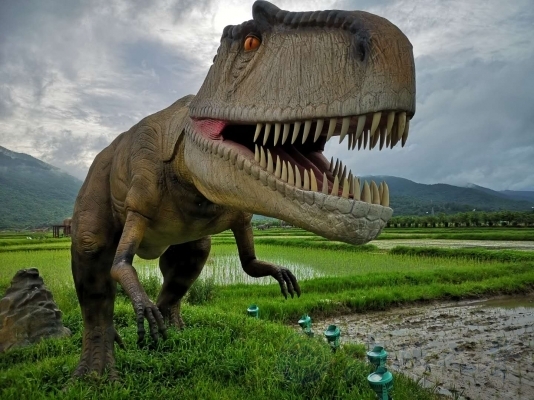三亞水稻國家公園“恐龍+水稻”感受南繁科技 三亞水稻國家公園“恐龍+水稻”感受南繁科技