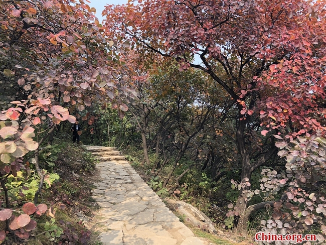 Pofengling est une colline particulièrement renommée pour sa couverture automnale de feuilles rouges, raison pour laquelle elle reste un endroit très prisé pour une sortie saisonnière chez les résidents de Beijing. Elle se trouve à seulement 52 km du centre-ville de la capitale. La zone d'observation des feuilles rouges couvre quant à elle environ 100 hectares et un sentier de randonnée long de 6 km ne représente qu'un défi modéré en raison de la pente douce de la montagne.