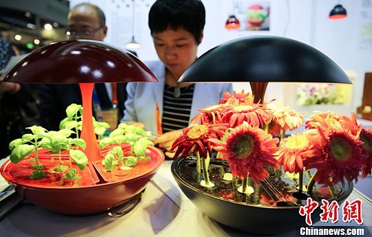 Пятая Пекинская международная ярмарка торговли услугами привлекла участников из 120 стран и регионов мира 