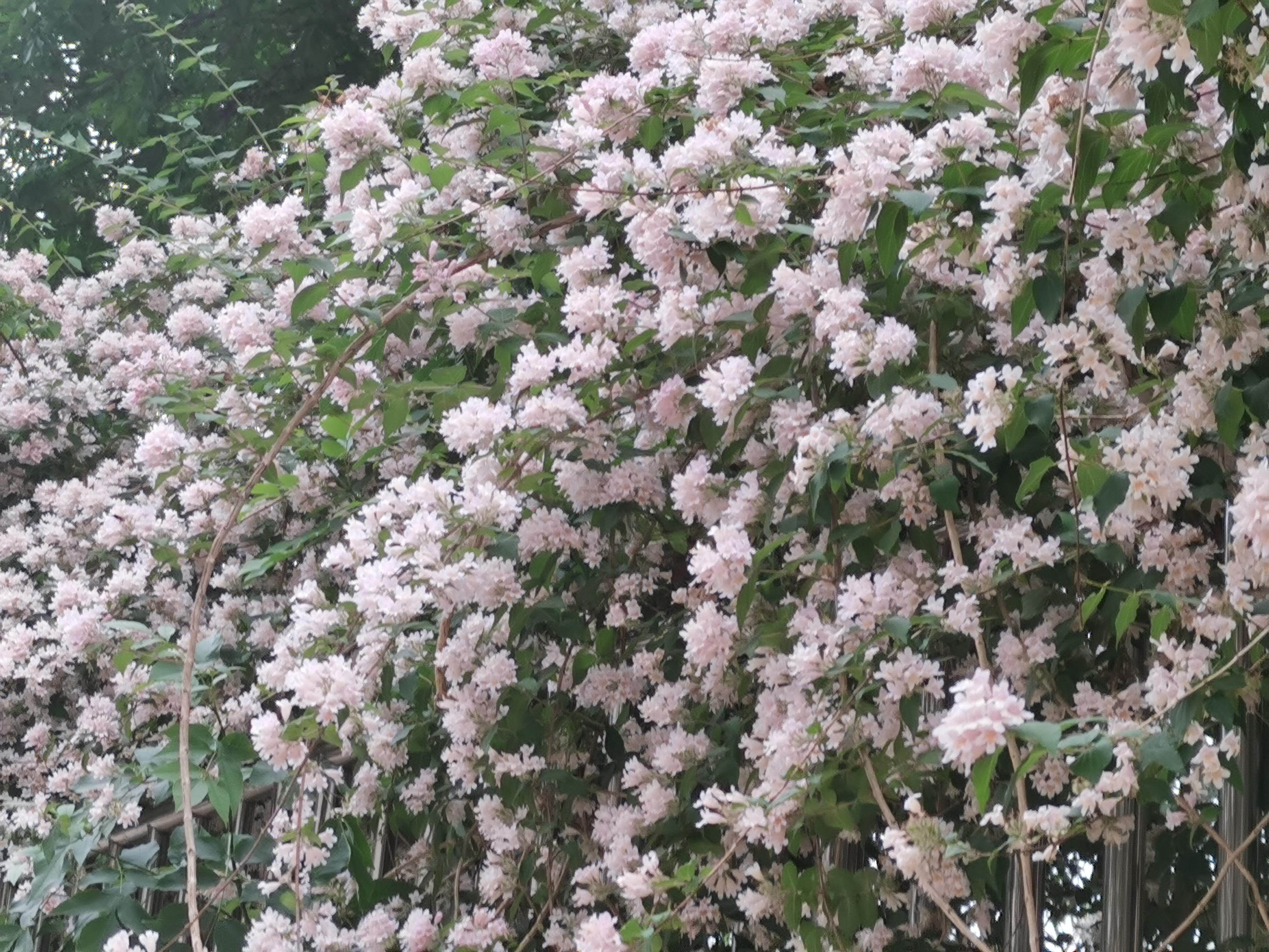 5月16日　火曜日