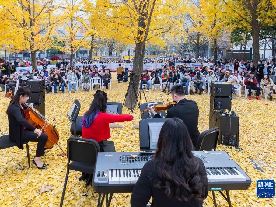 Konsert Berjenama Pokok Ginkgo di Shanghai
