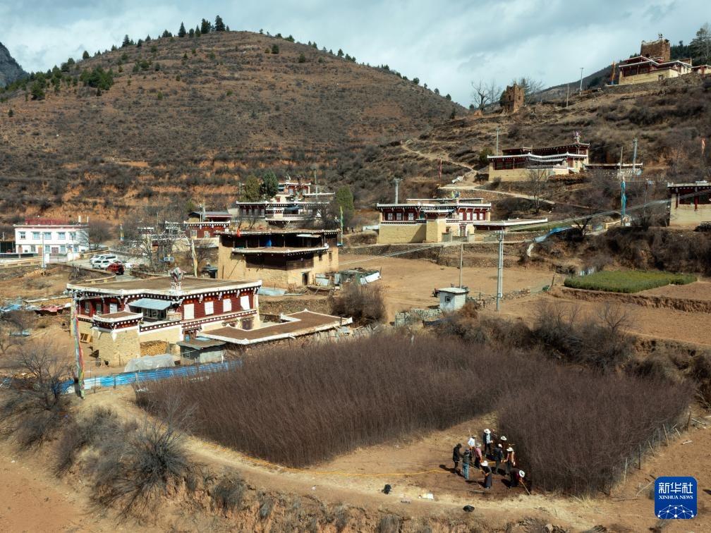 Pembangunan Desa Dataran Tinggi Bertunjangkan Penanaman Jamuan