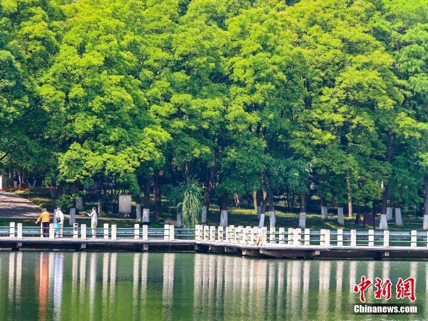 Terpikat dengan Keindahan Tasik Donghu