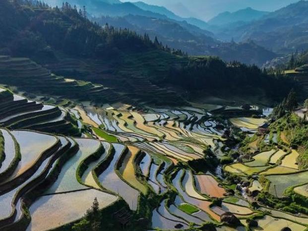 Teres Bermandikan Teja