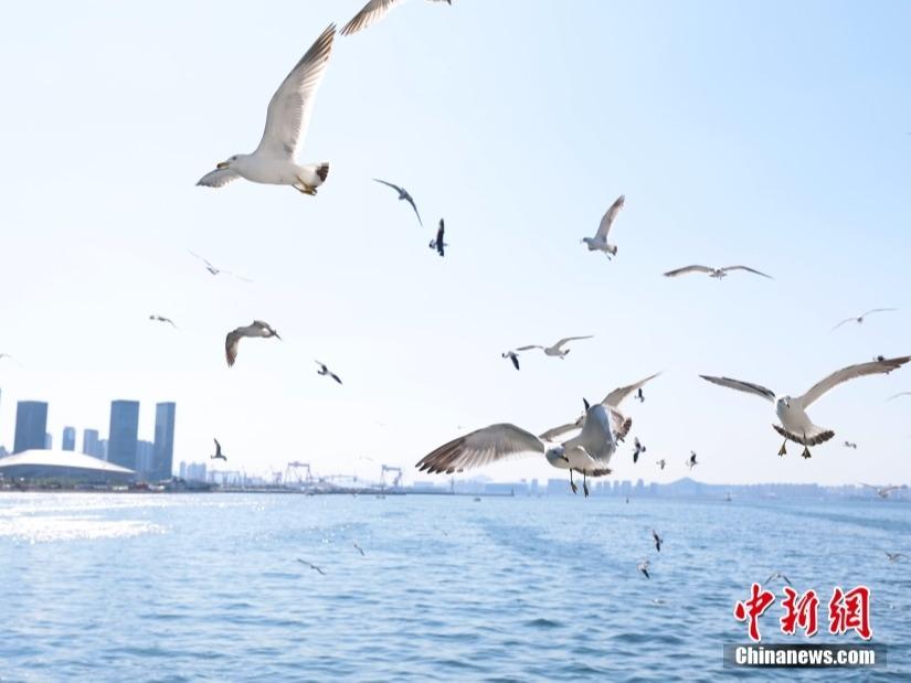 Pakej Kapal Persiaran Tarikan Baharu Dalian