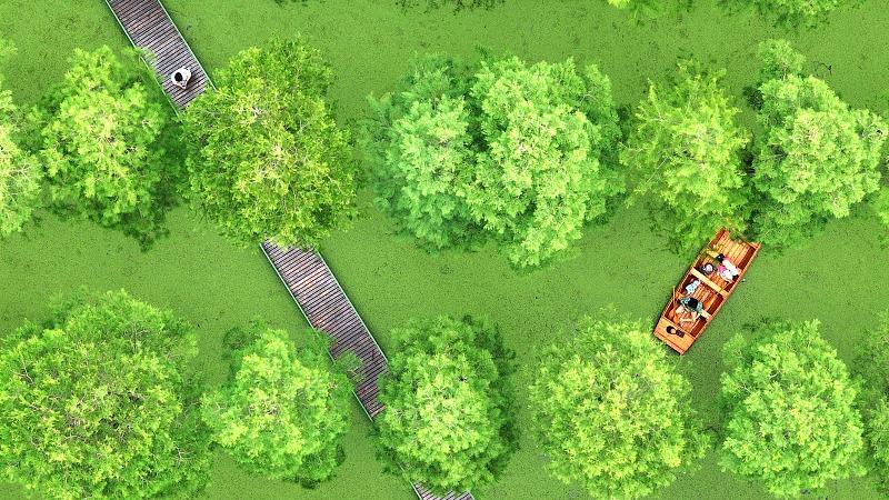 Bersantai di ‘Hutan Akuatik’ Taman Tanah Lembap Luyang
