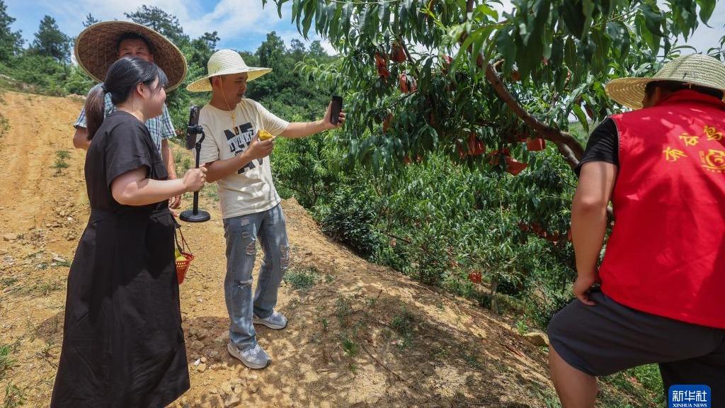 Pekebun Dapat Bantuan Sukarelawan Ketika Tuai dan Jual Pic