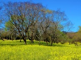 3月9日　火曜日