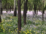 4月28日　火曜日